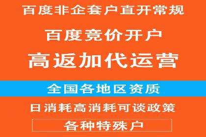 百度推广广告案例：快速抢占市场份额